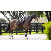 LeMieux Schabracke Prosorb Plain 2 Pocket Vielseitigkeit Schwarz