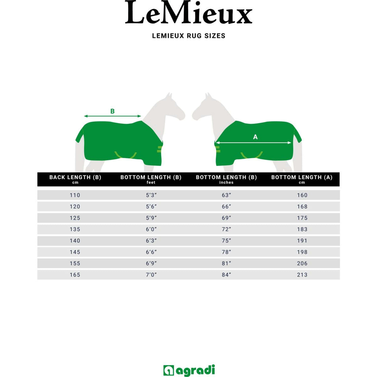 LeMieux Decke Kudos Turnout 100g Navy