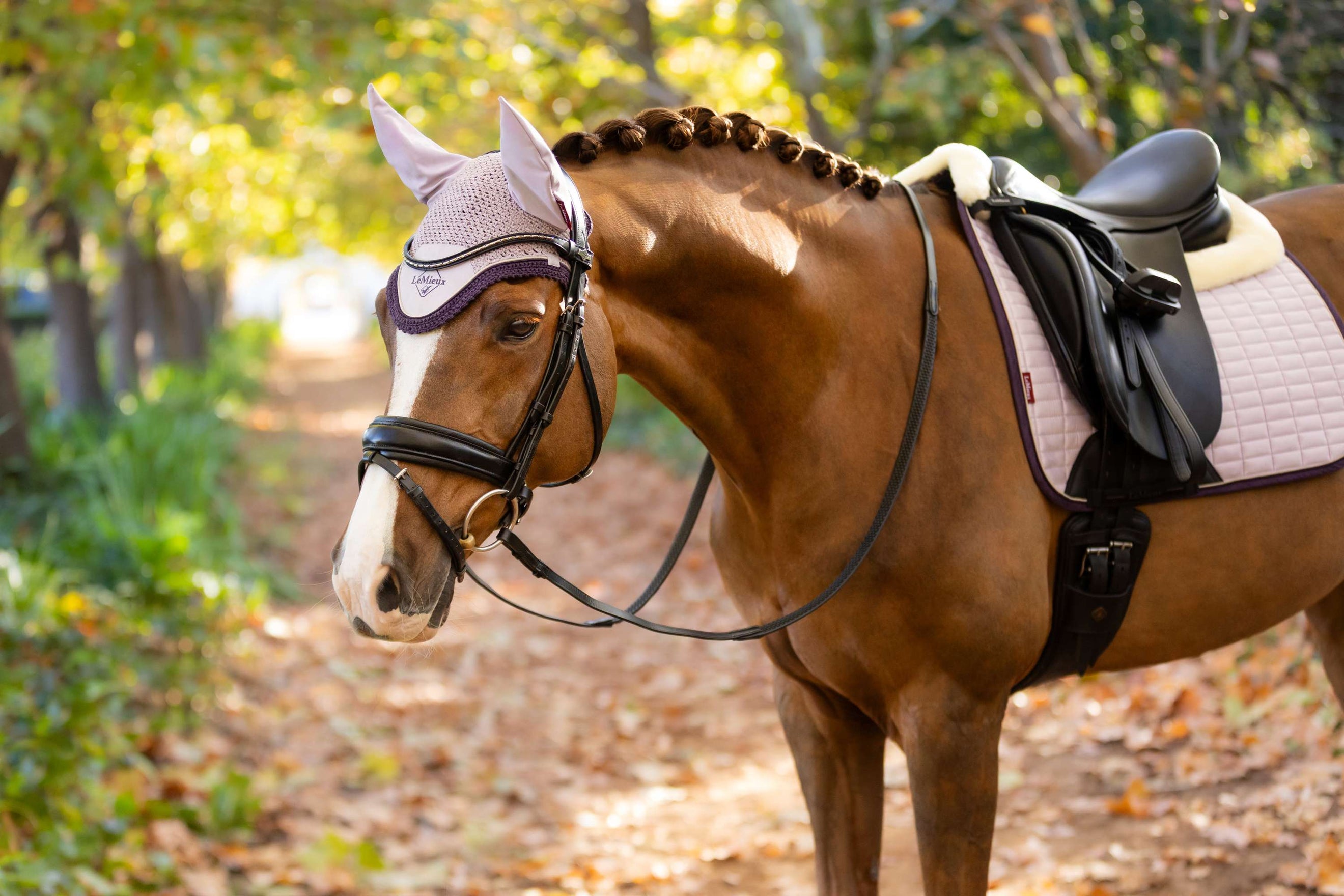 LeMieux Winter 25/26 Lilac