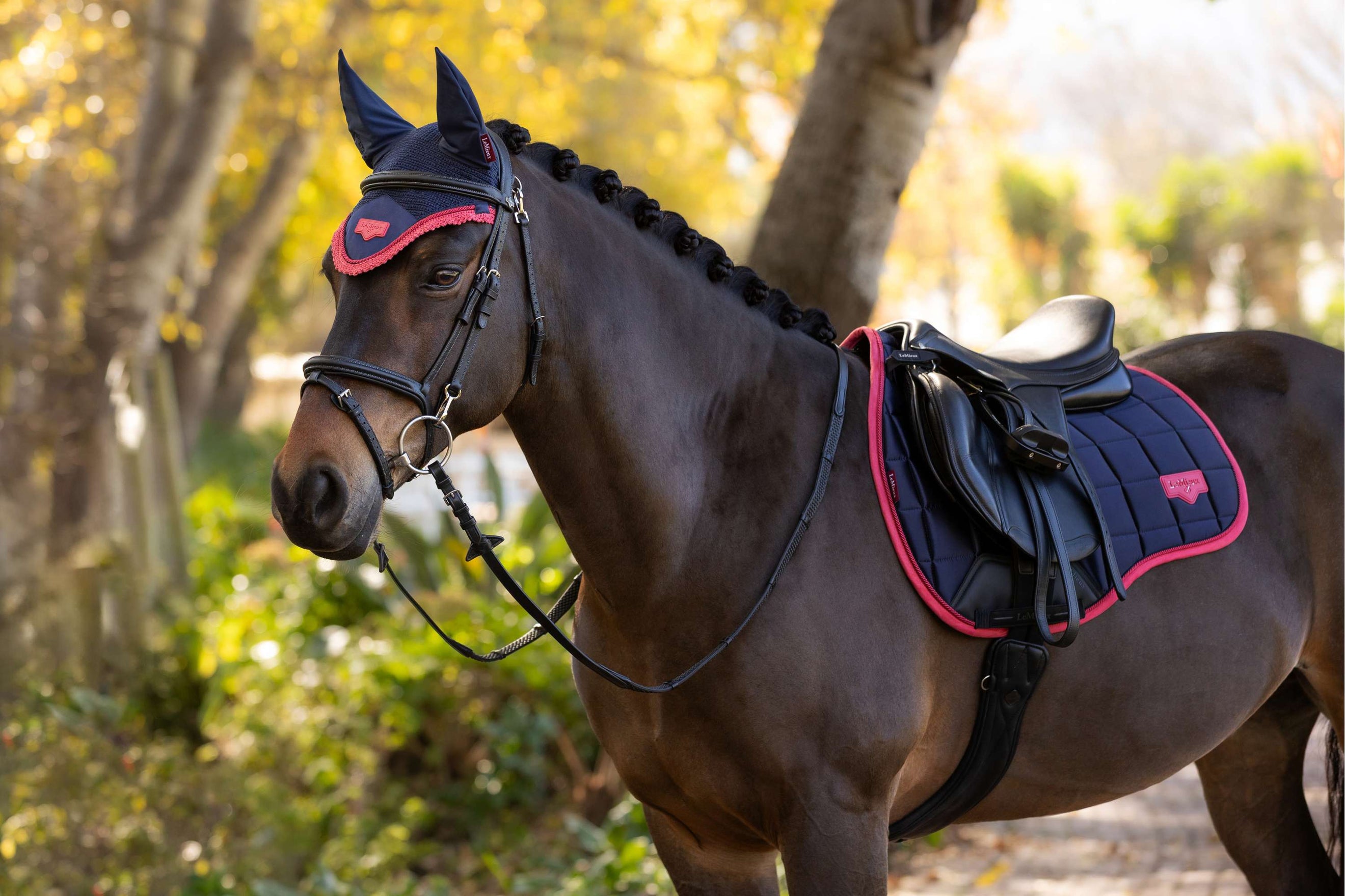LeMieux Winter 25/26 Navy