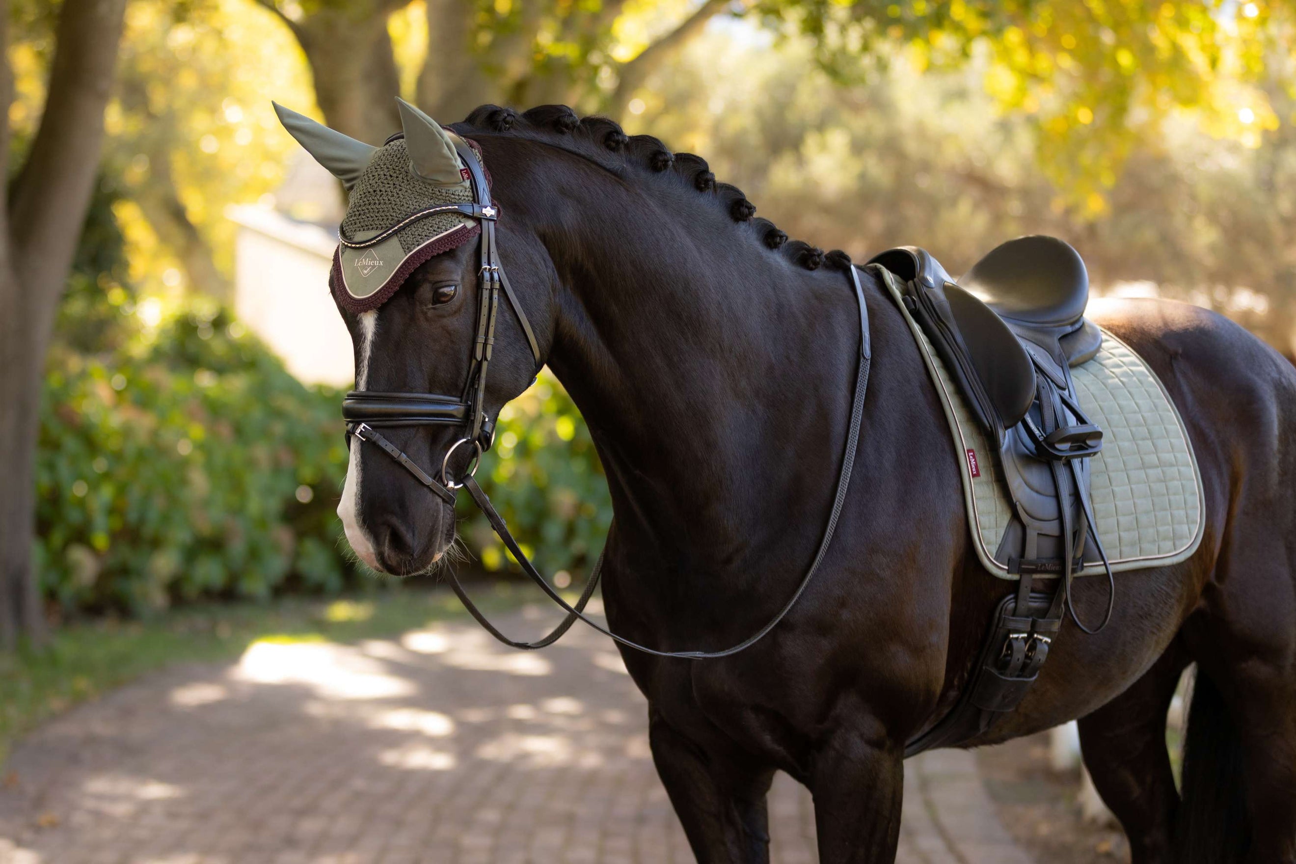 LeMieux Winter 25/26 Rosemary