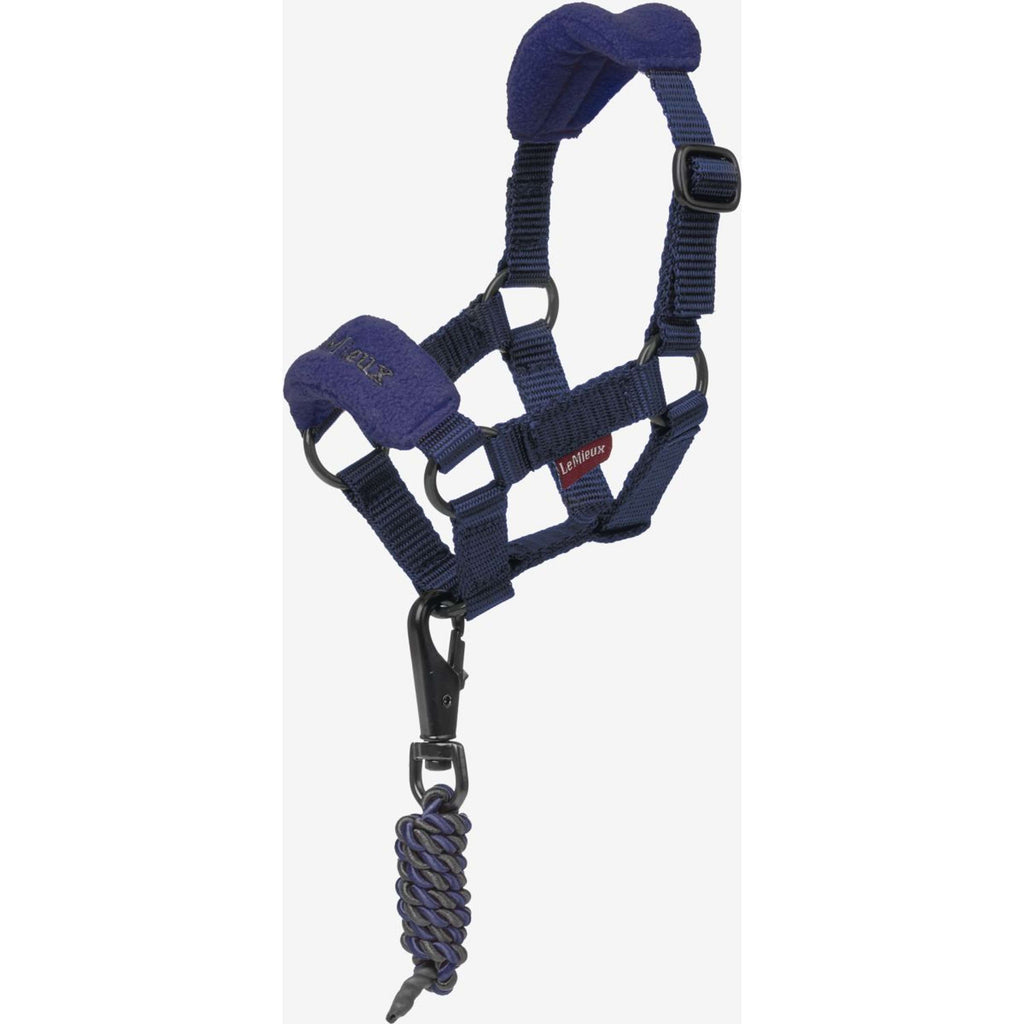 LeMieux Toy Pony Halfter Vogue Ink Blue