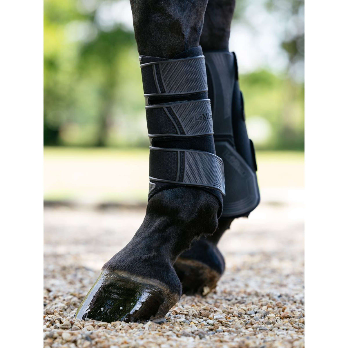 LeMieux Gamaschen Technical Schwarz