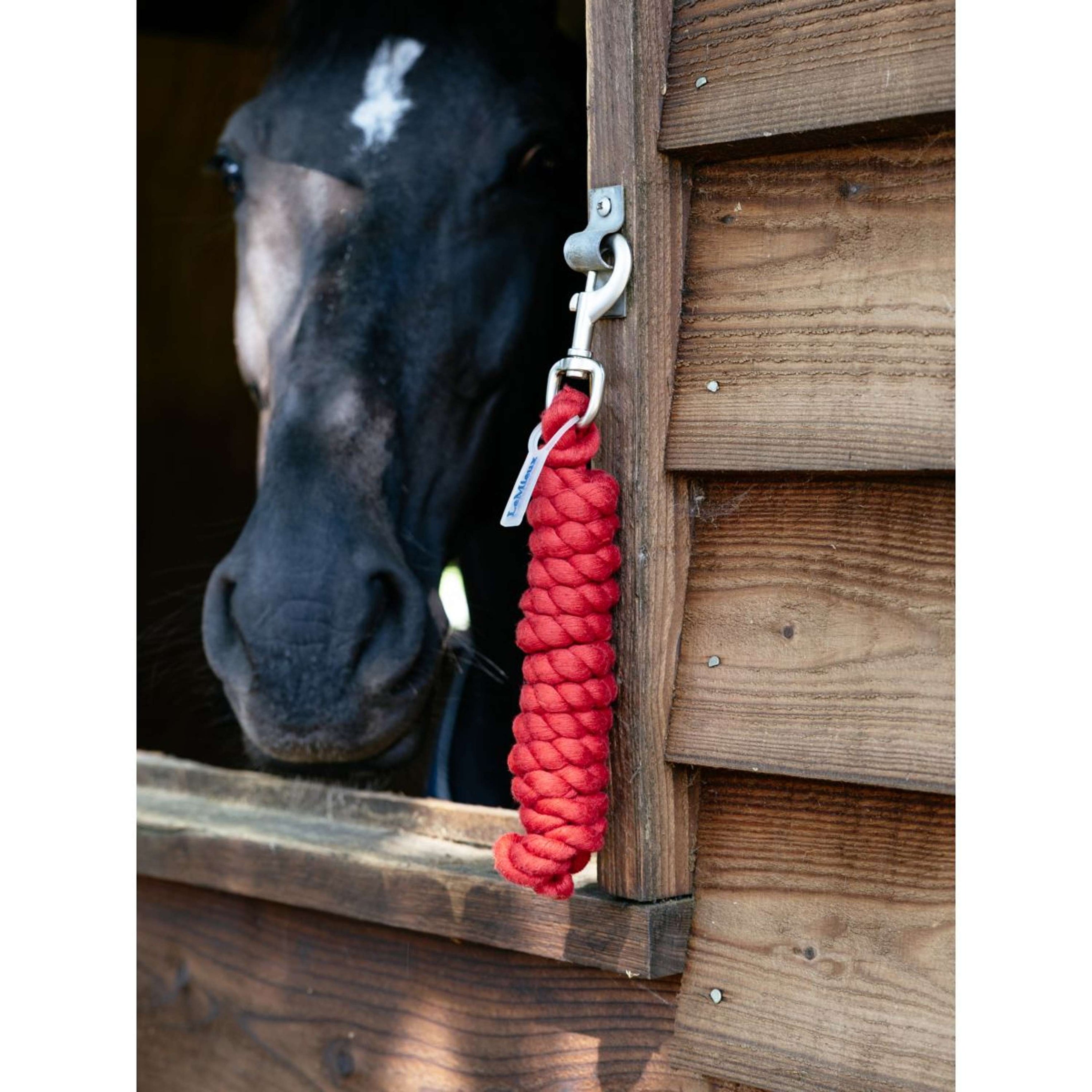 LeMieux Führstrick Polycotton Chilli LeMieux Führstrick Polycotton Chilli