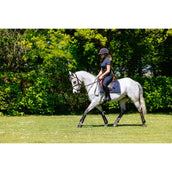 LeMieux Schabracke Pillow Pad Navy