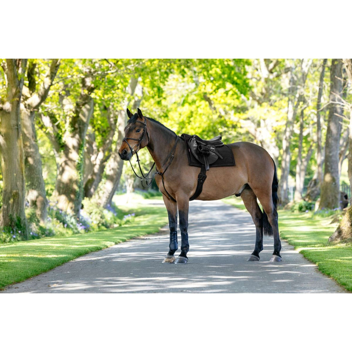 LeMieux Schabracke Pillow Pad Schwarz