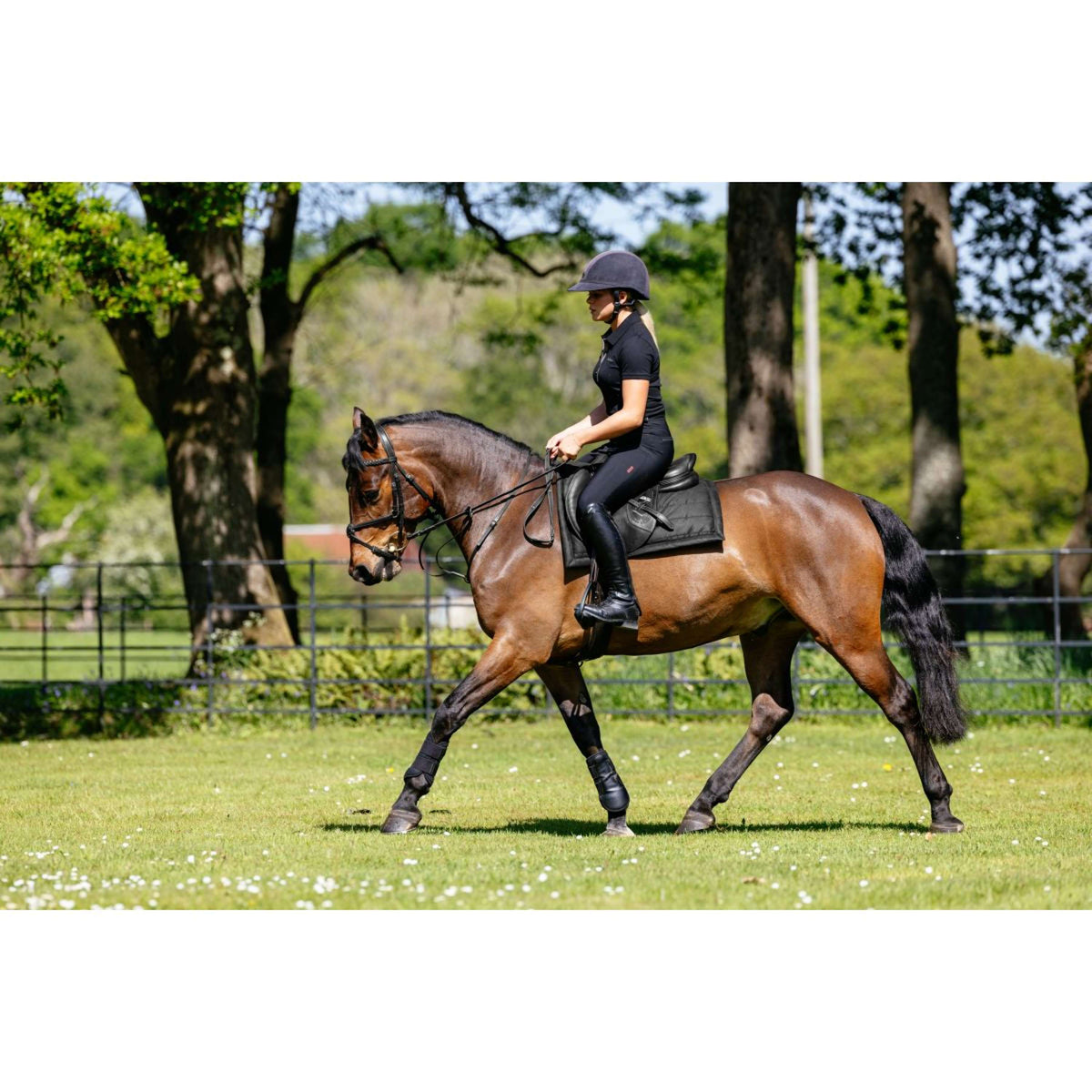 LeMieux Schabracke Pillow Pad Schwarz