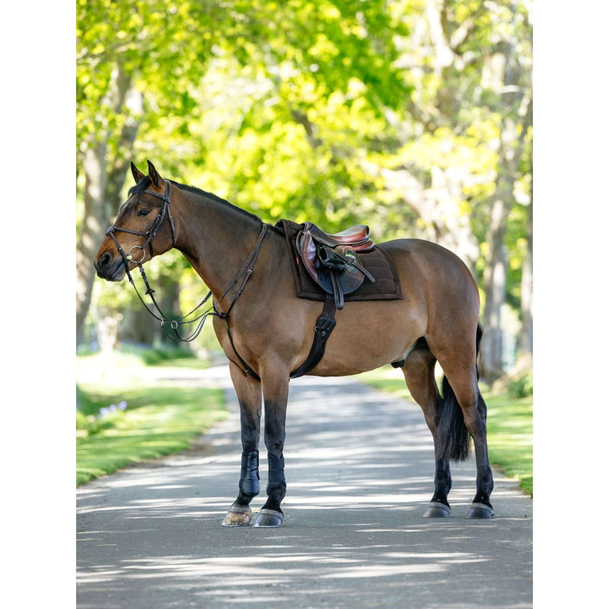 LeMieux Schabracke Pillow Pad Braun