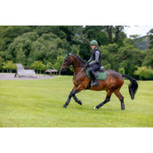 LeMieux Schabracke Loire Classic Square Close Contact Hunter Green