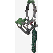 LeMieux Halfterset Mini Vogue Hunter Green