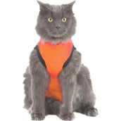 Medical Pet Shirt Katze Orange