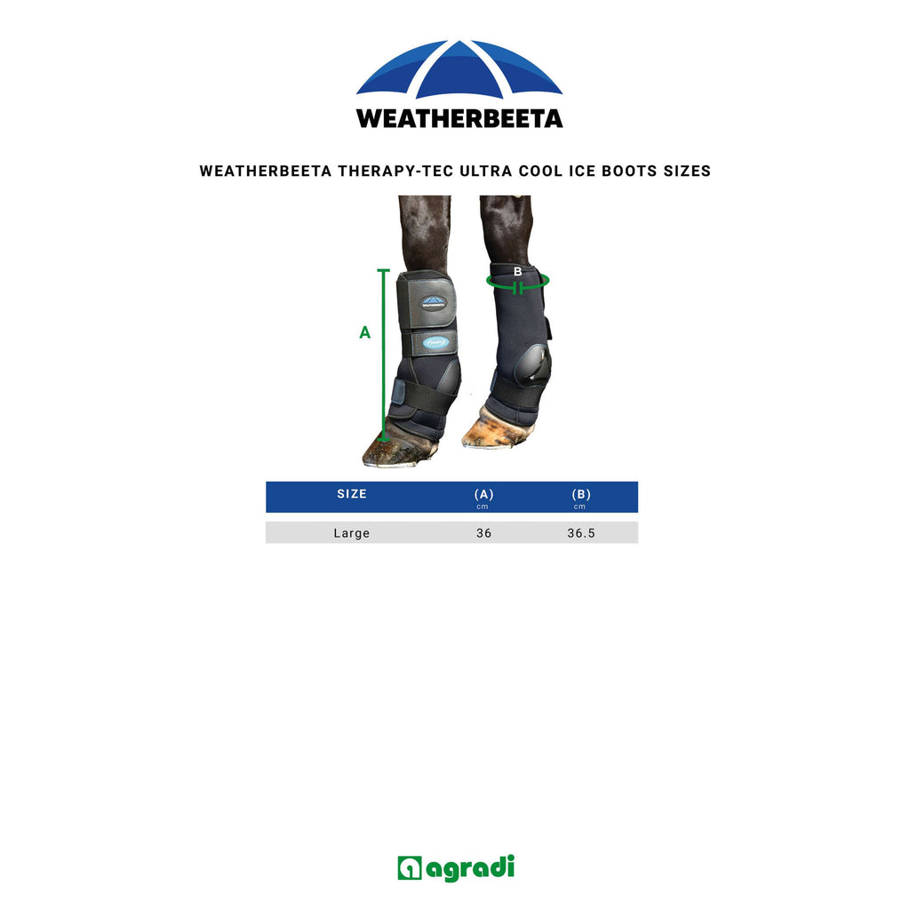 WeatherBeeta Ice Boots Therapy-Tec II Ultra Cool Schwarz
