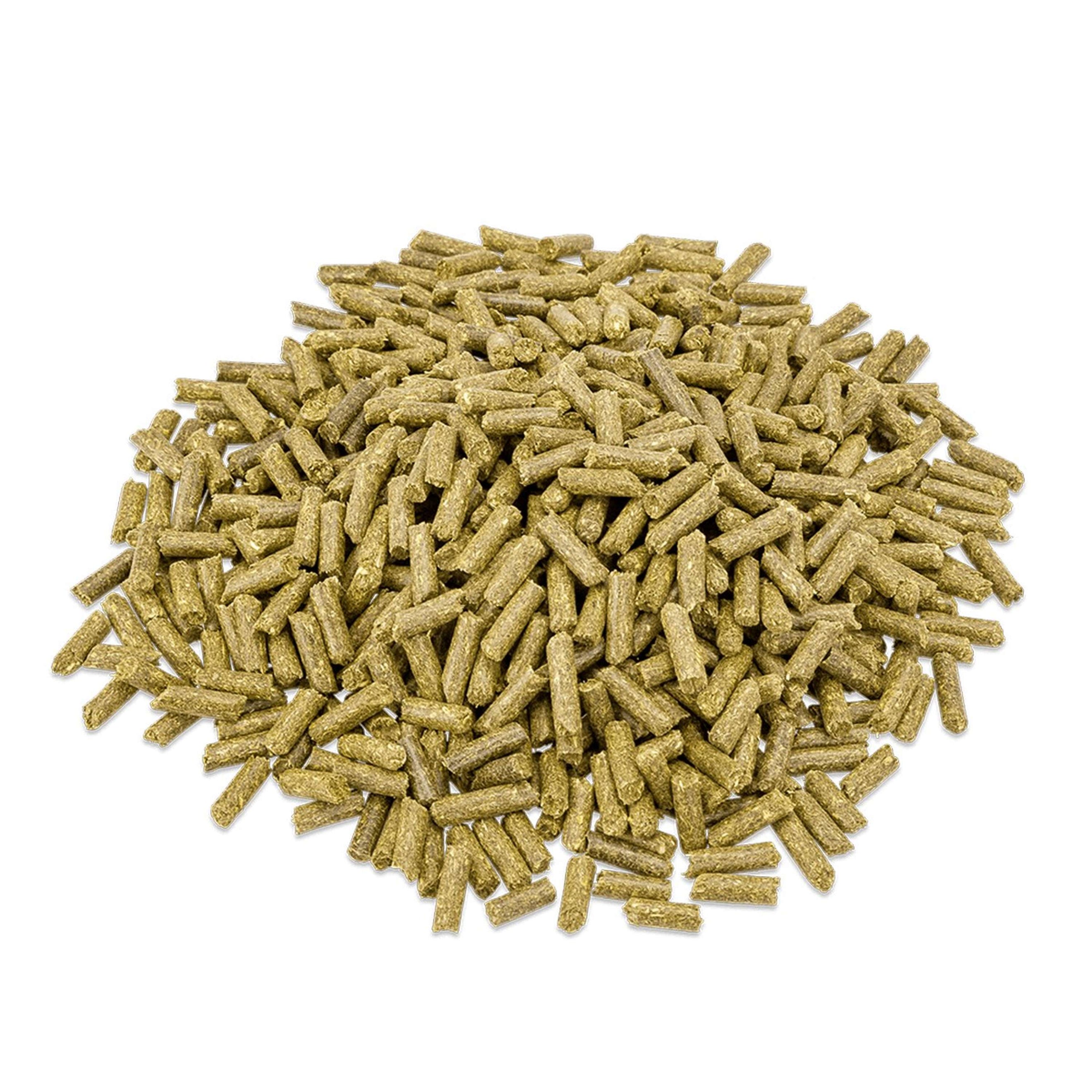 Metazoa BalanceFit Timothee