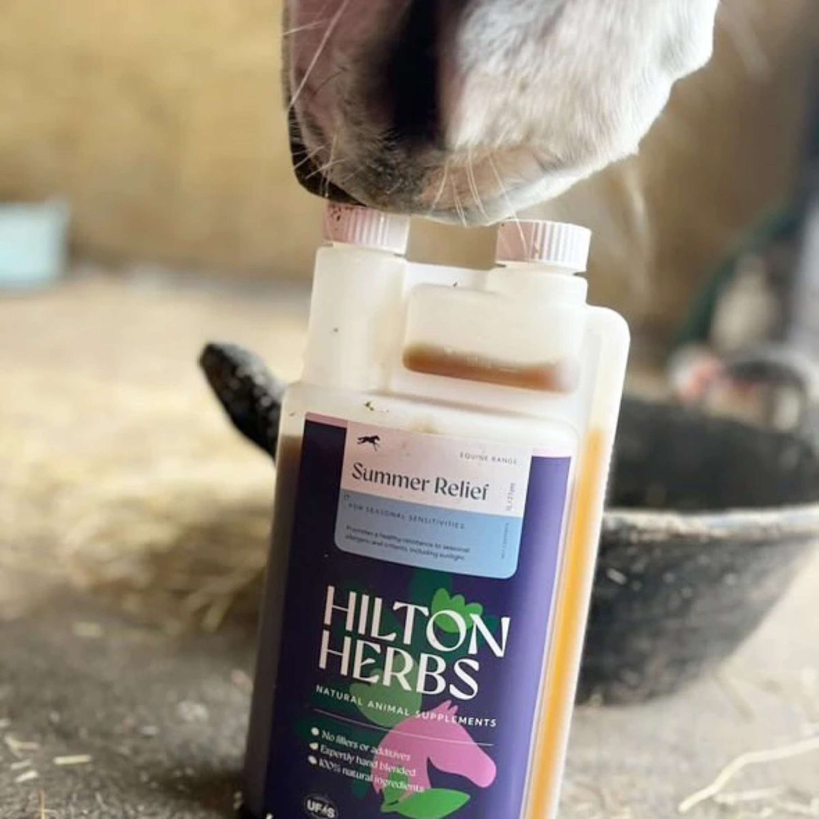 Hilton Herbs Summer Relief