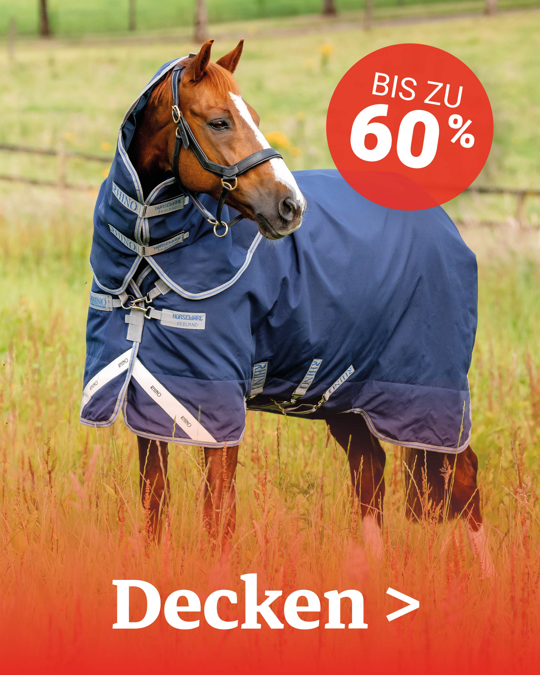 Outlet Agradi de Outlet Agradi de