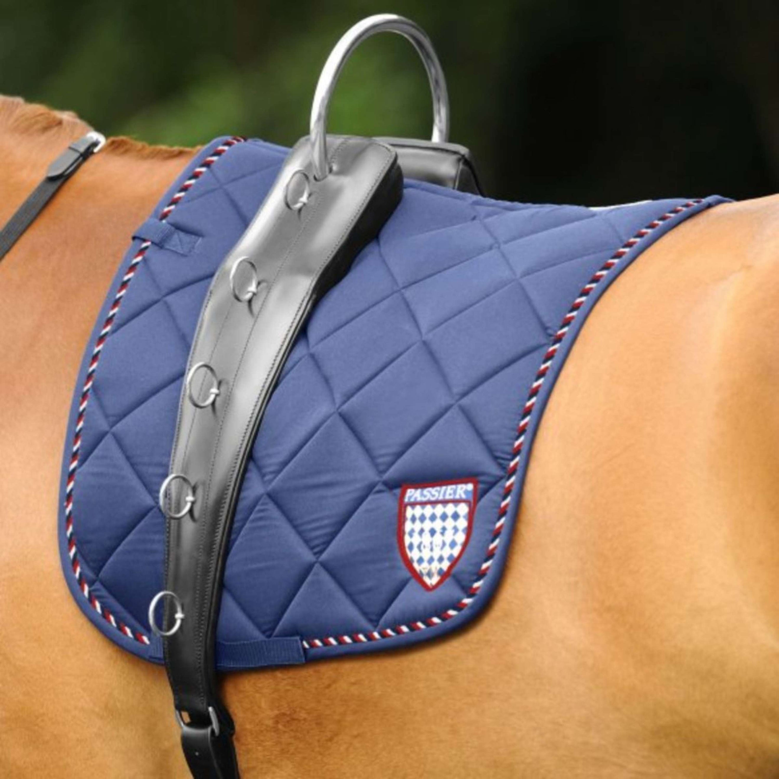 Passier Longiergurt Horst Becker Schwarz Passier Longiergurt Horst Becker Schwarz