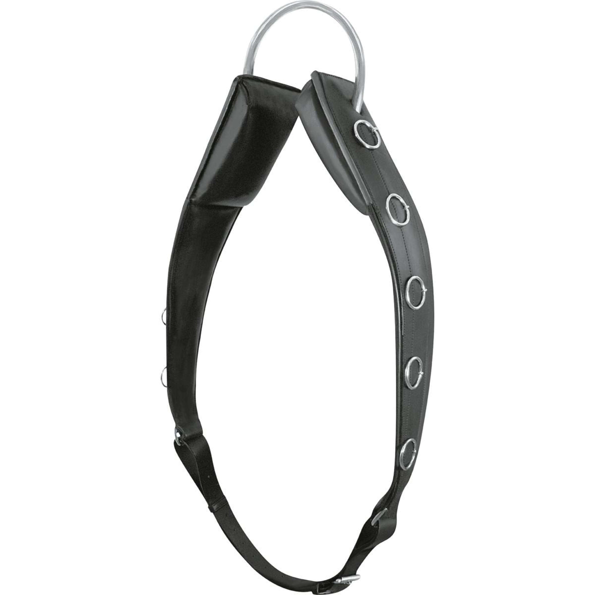 Passier Longiergurt Horst Becker Schwarz