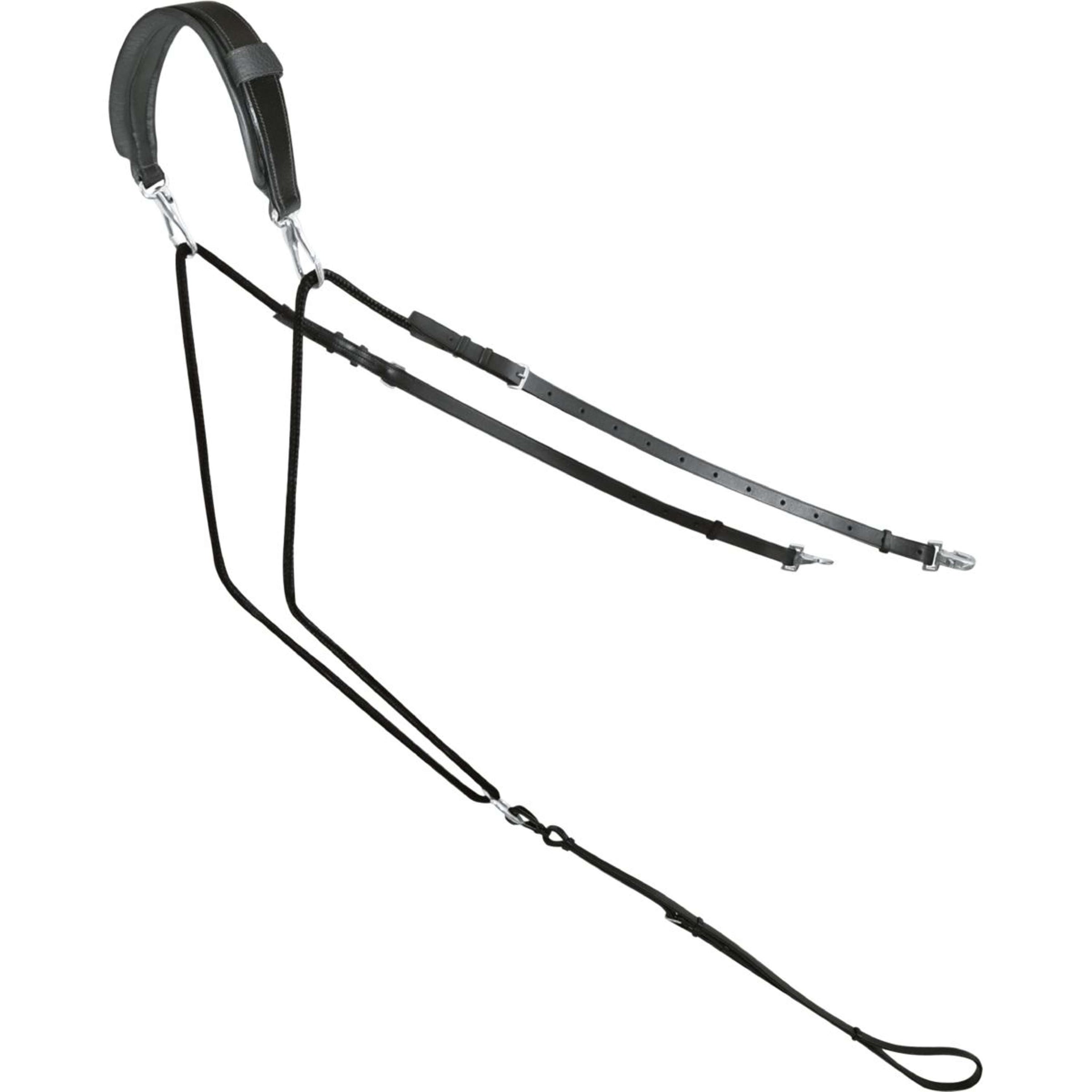 Passier Ausbindezügel Horst Becker Schwarz Passier Ausbindezügel Horst Becker Schwarz