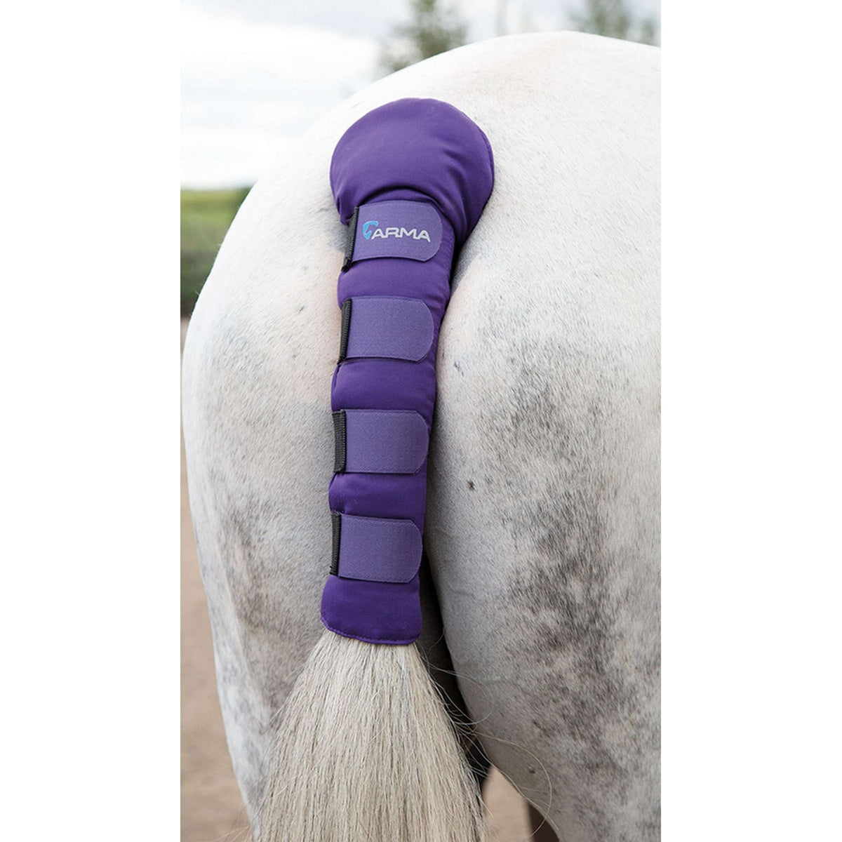 Arma by Shires Schweifschoner Padded Lila