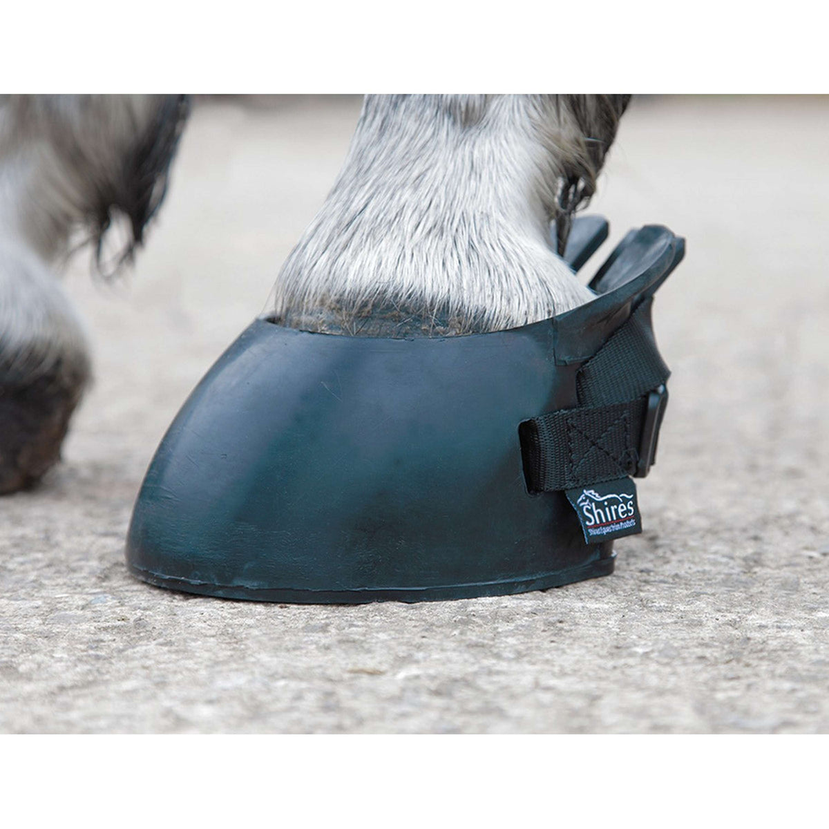 Shires Hufschuh Schwarz