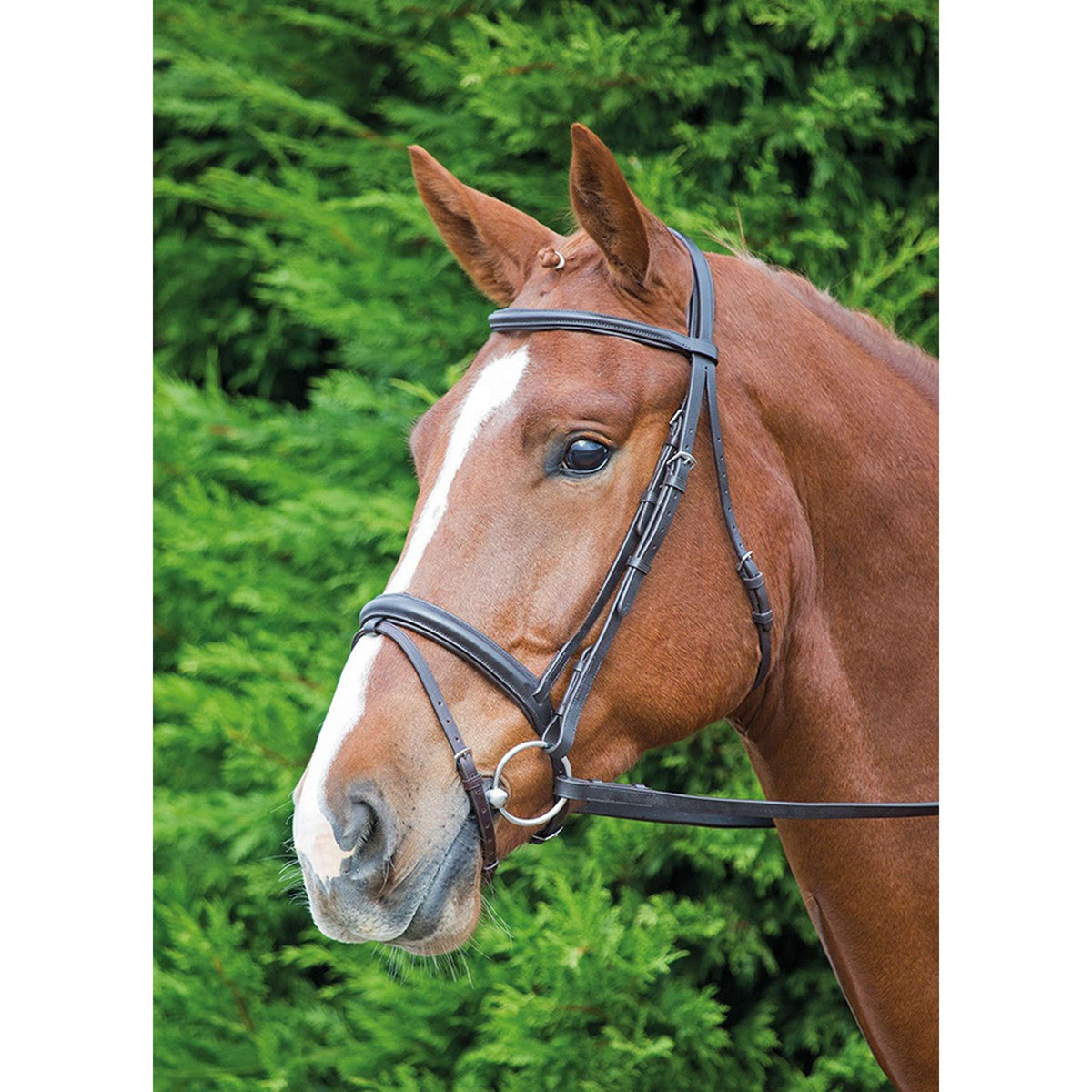 Aviemore by Shires Trense Comfort Fit Havanna