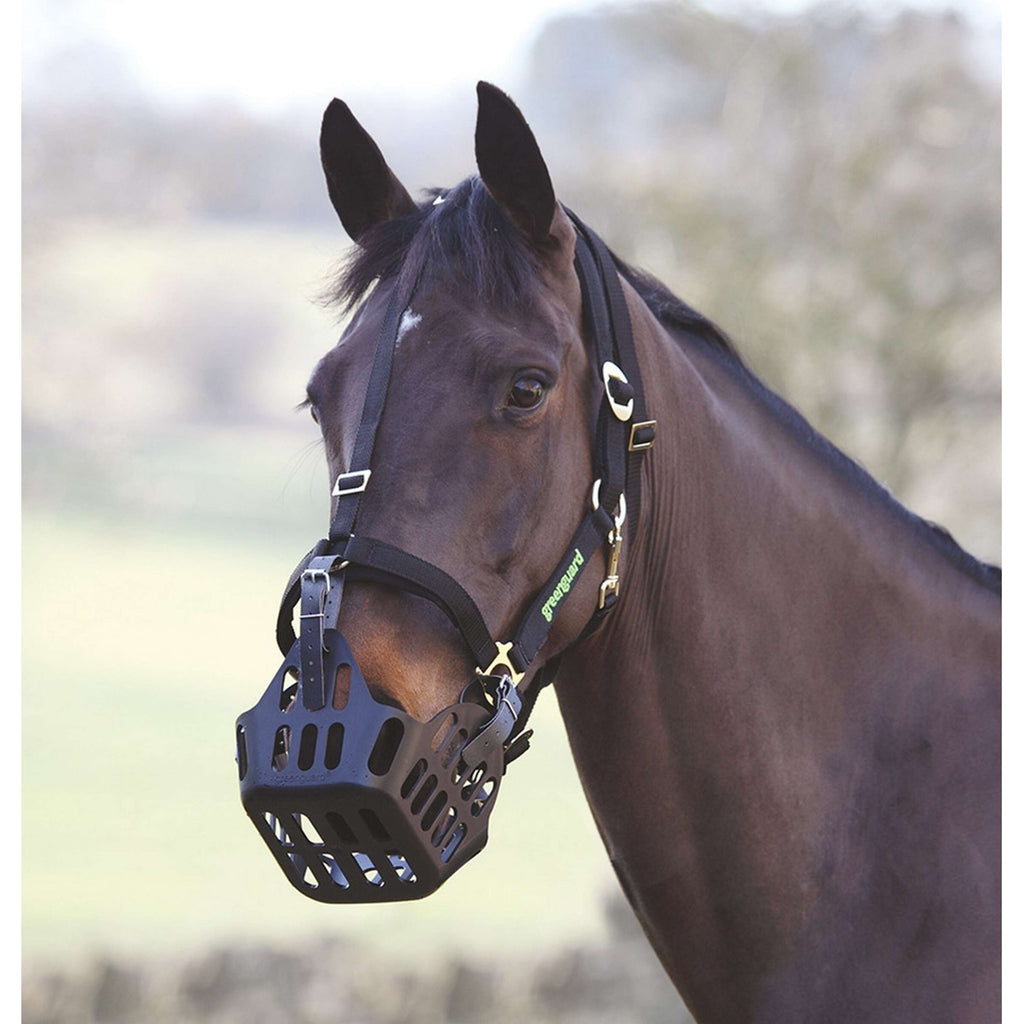 Greenguard by Shires Maulkorb für Halfter Schwarz