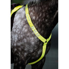 Equi-Flector by Shires Fliegenhaube Reflektierend Fluor Gelb