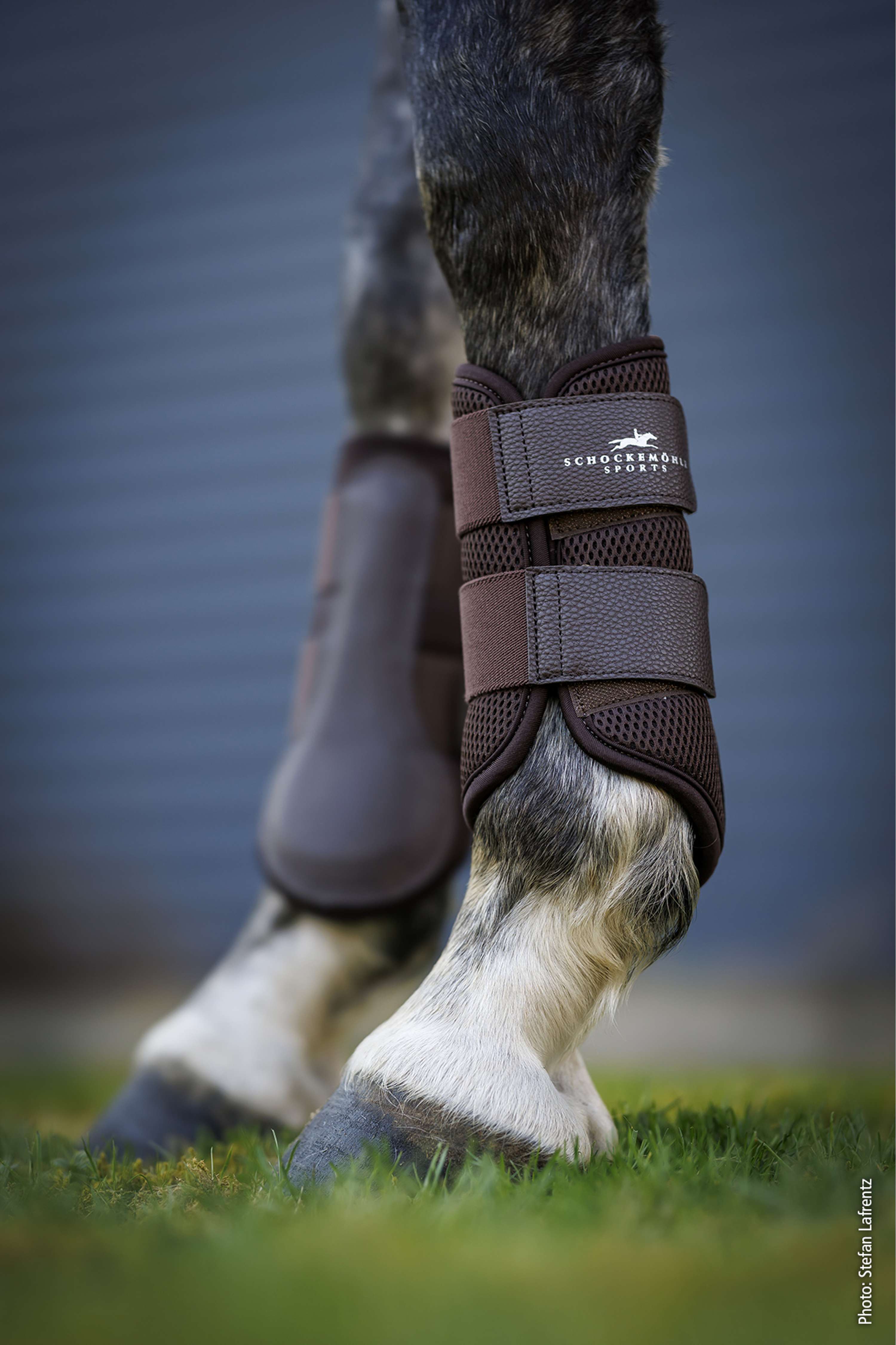 Schockemöhle Gamaschen Mesh Guards Mocca
