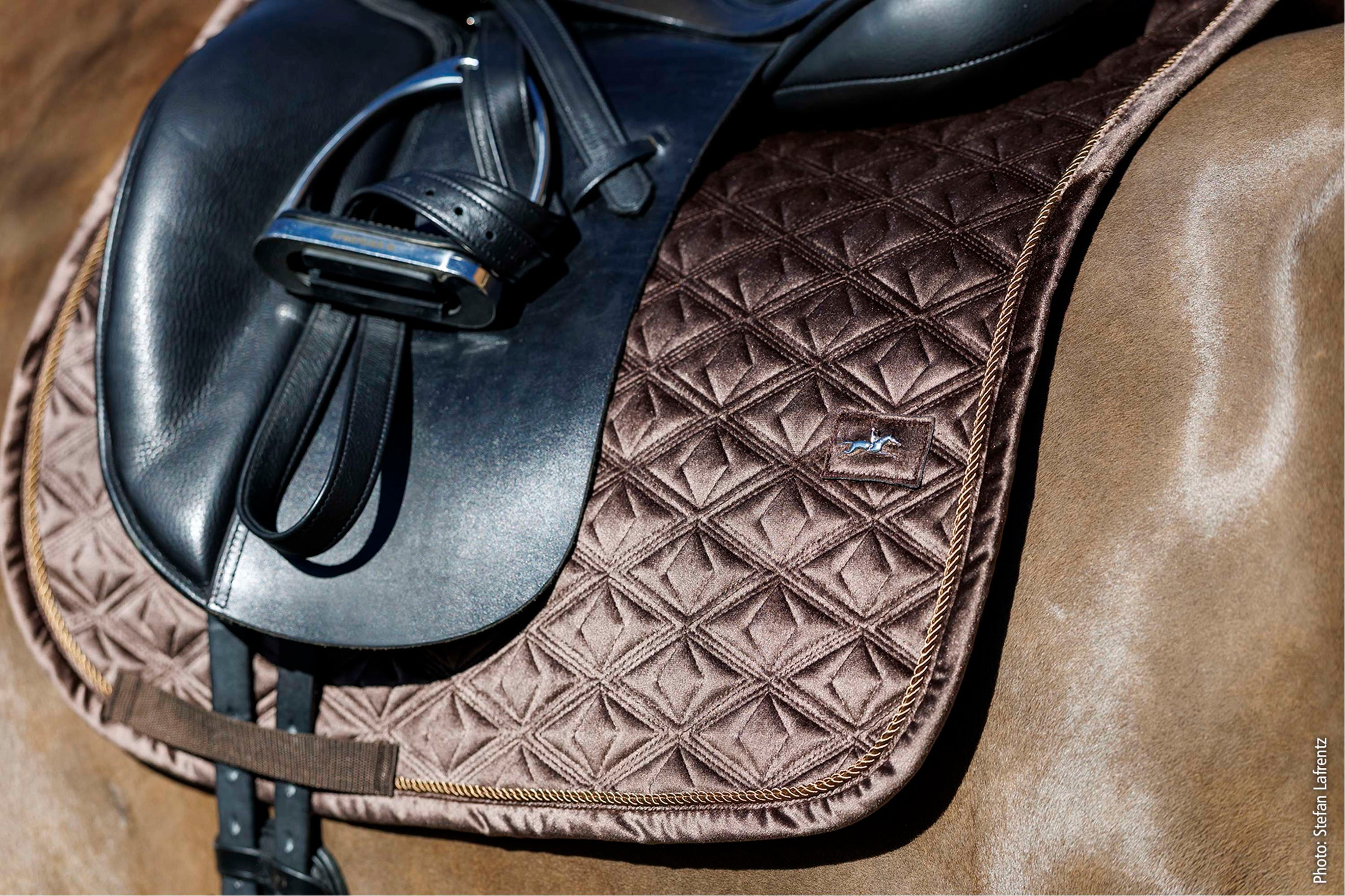 Schockemöhle Winter 25/26 Dusty Chocolate