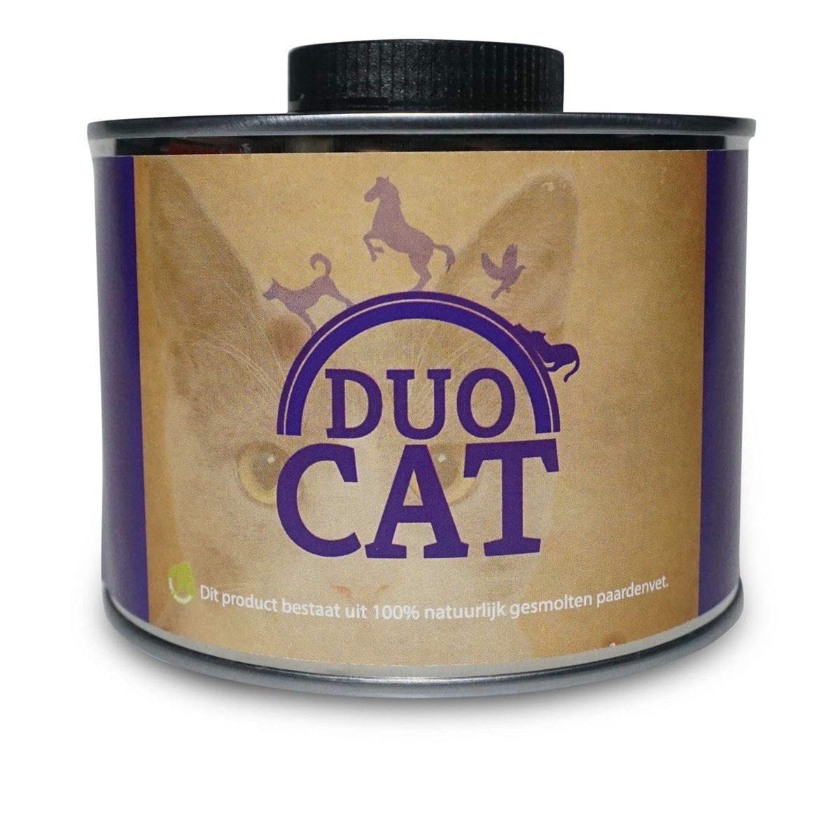Duo Cat