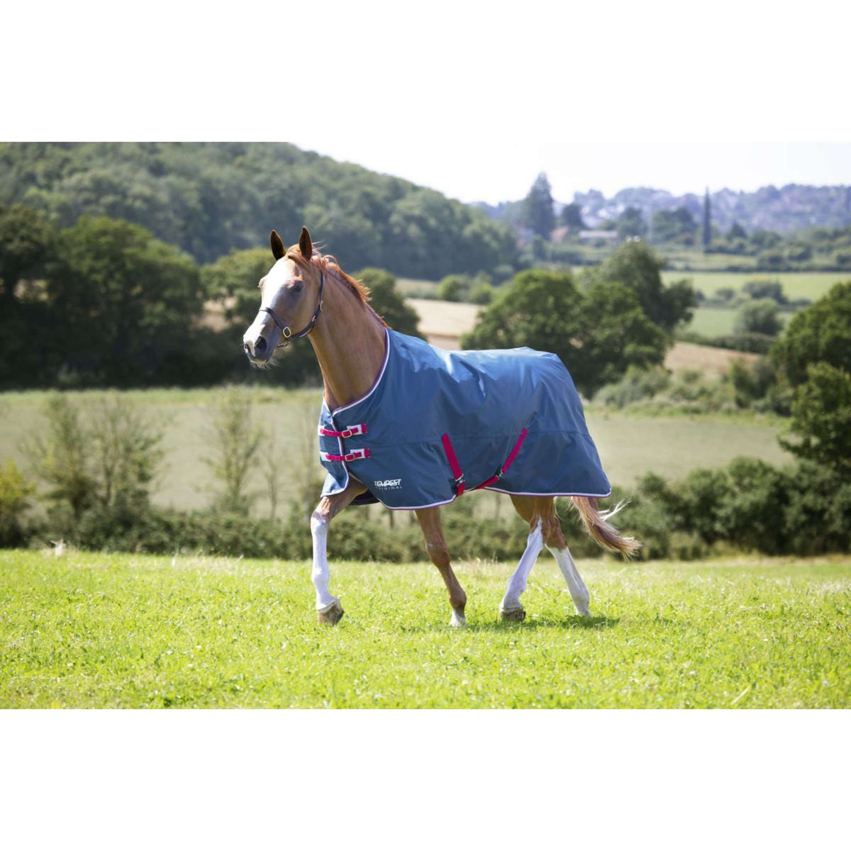 Tempest Original by Shires Outdoor Lite 0g Teal