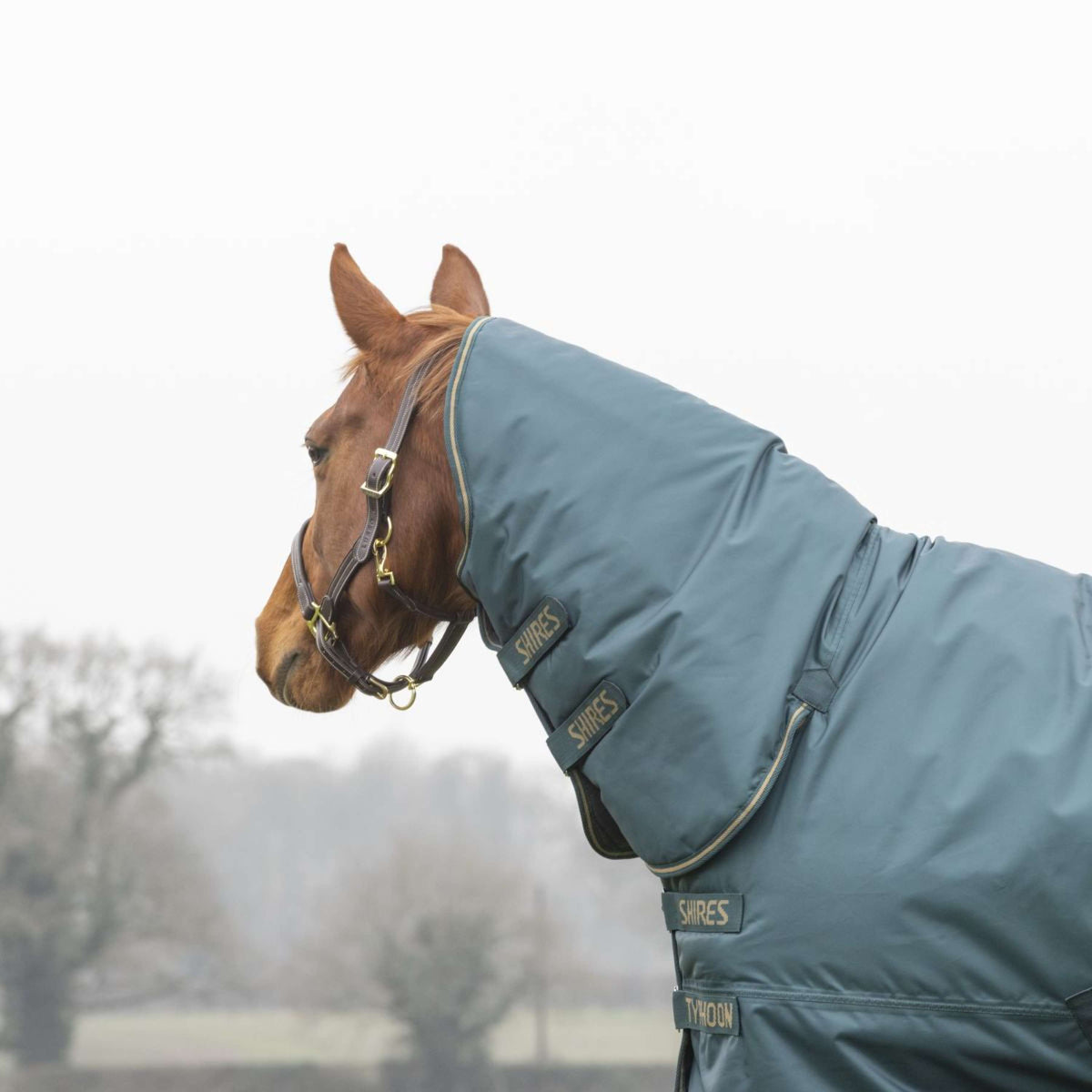 Tempest Winterdecke Turnout Typhoon Combo 200g Grün