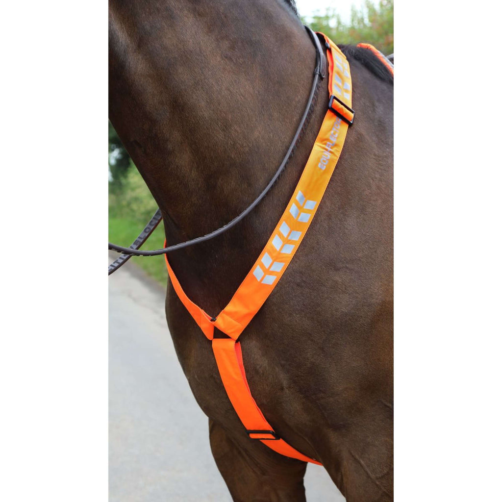 Equi-Flector by Shires Fliegenhaube Reflektierend Orange