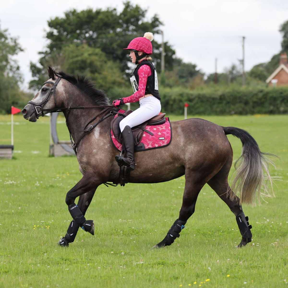 Aubrion Schabracke Hyde Park Young Rider Sterne