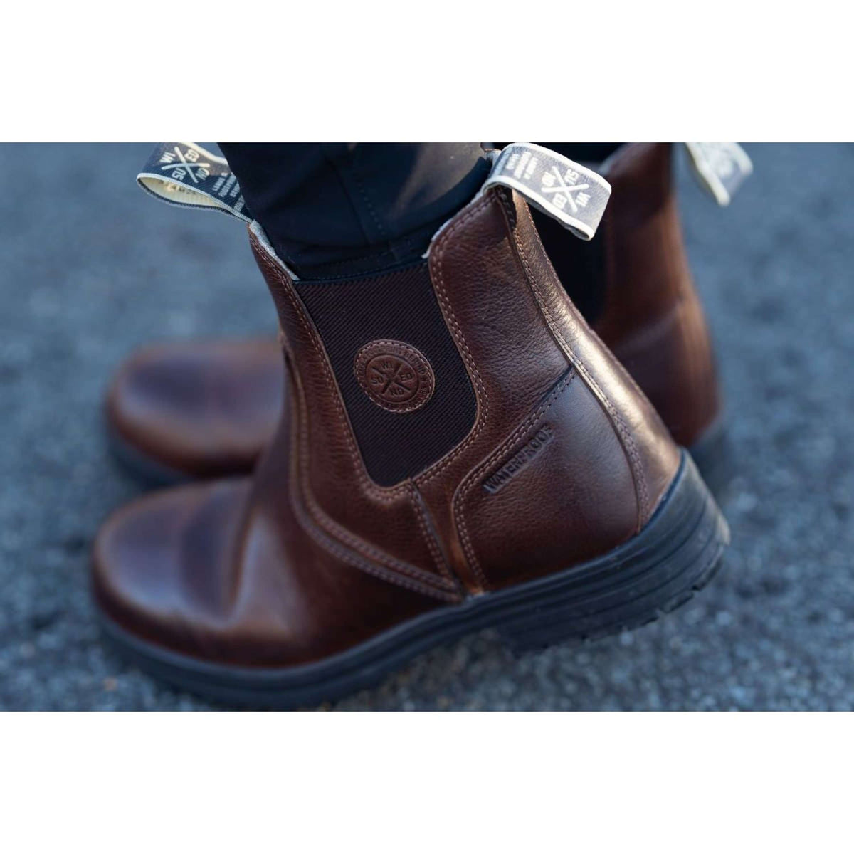 Suedwind Stiefeletten Amaron Chelsea Wool Wasserdicht Chocolate