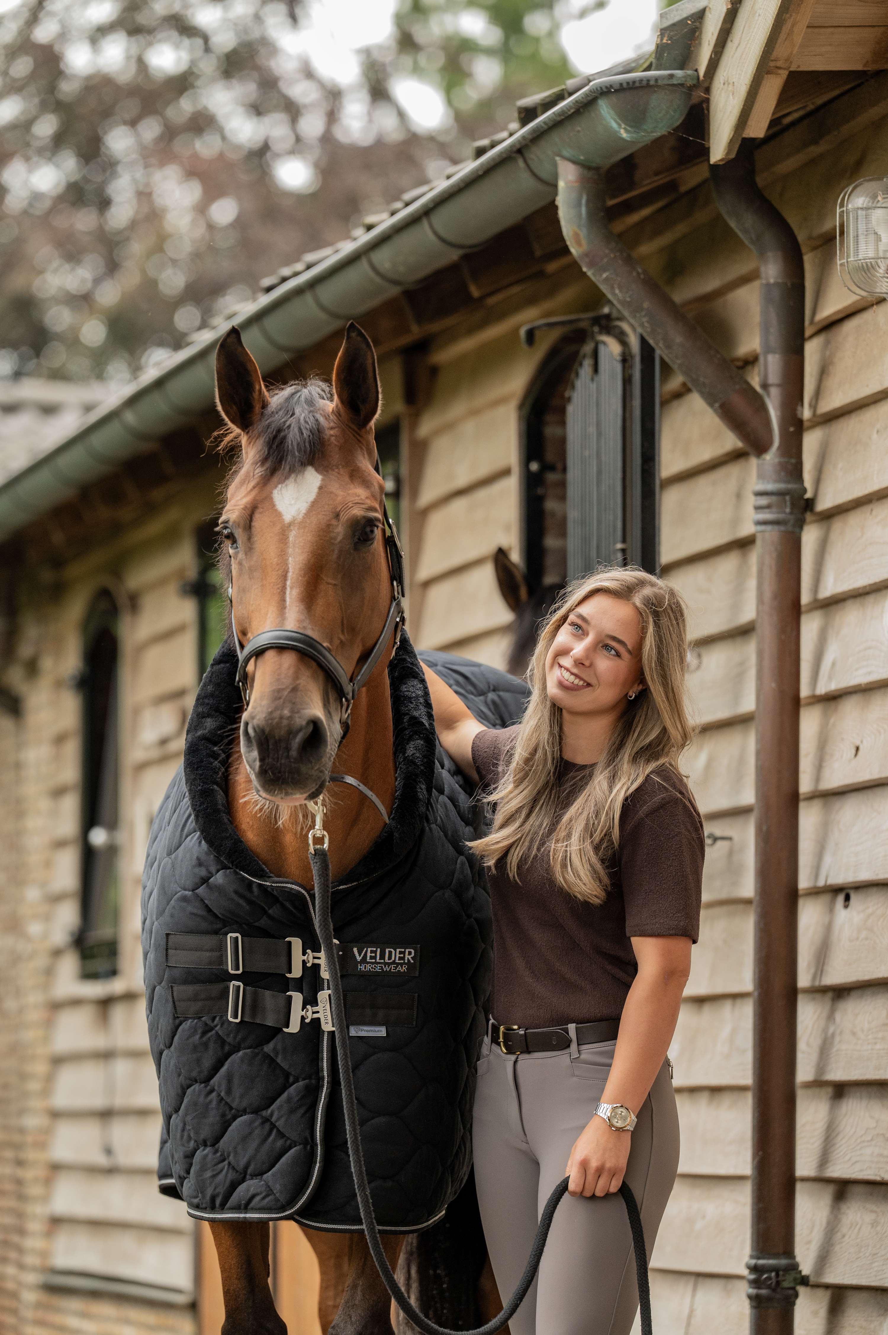 Velder Horsewear Premium Showdecke Satin Glow Black Night