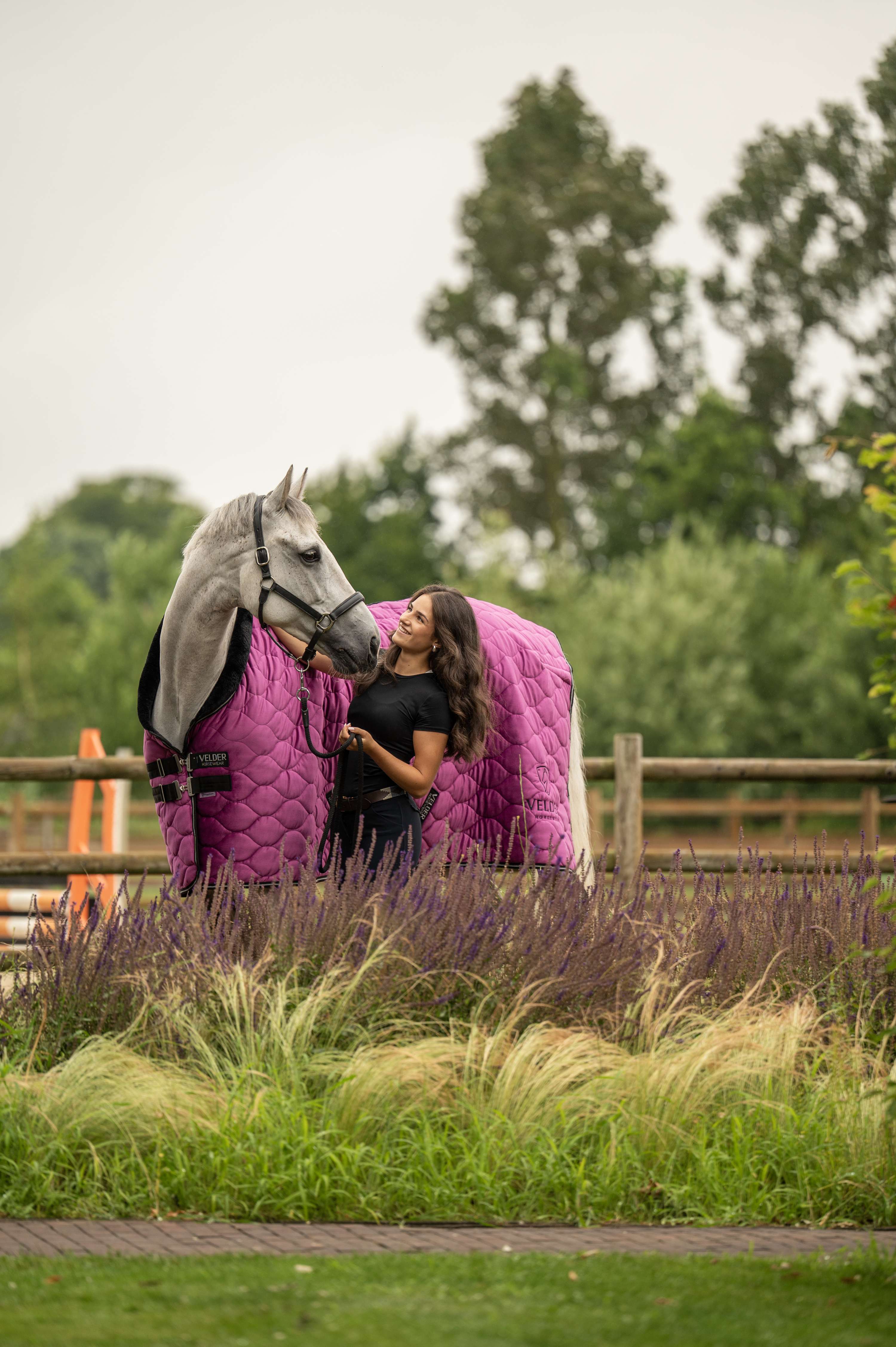 Velder Horsewear Premium Showdecke Satin Glow Dutch Raspberry
