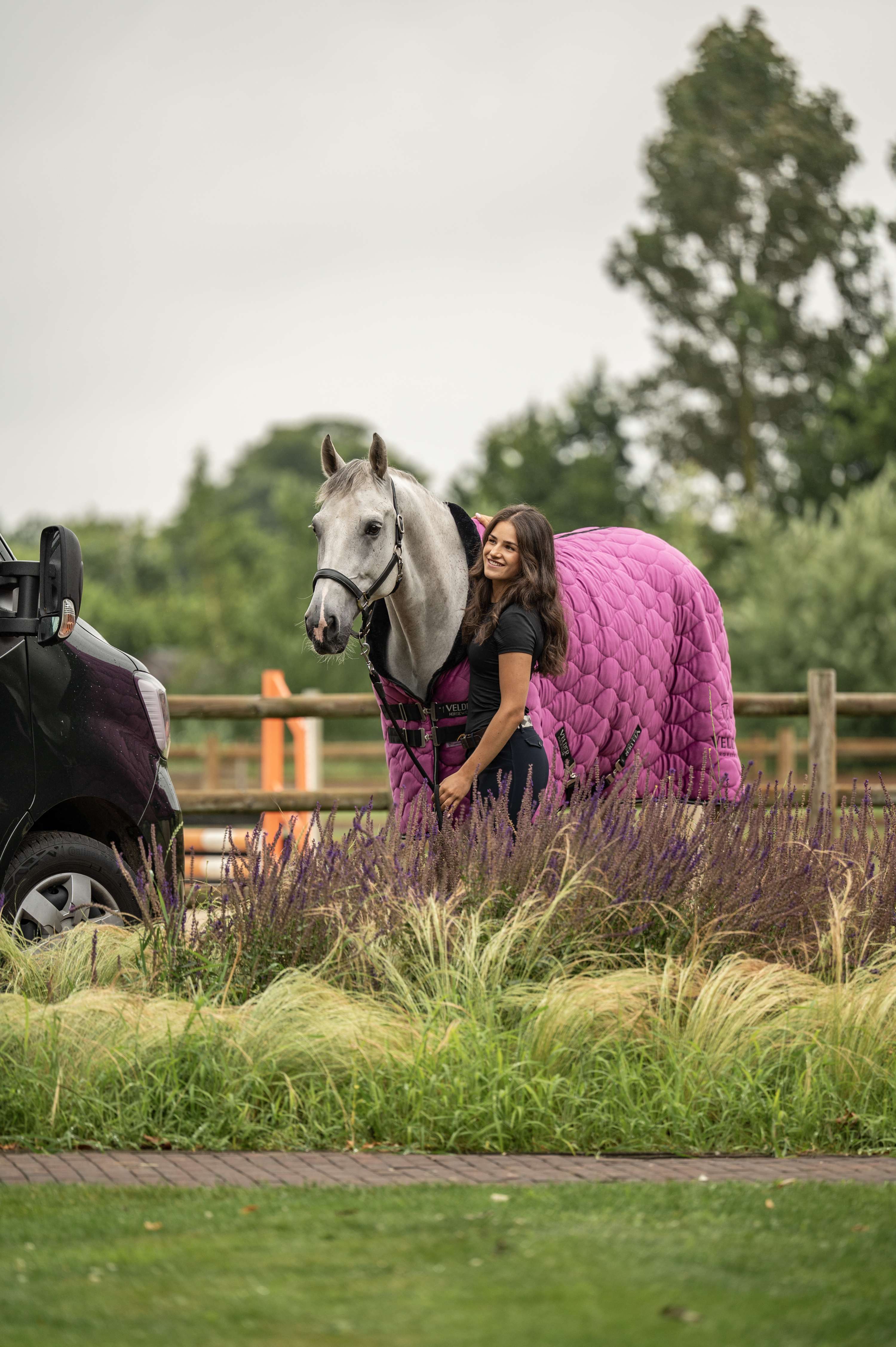 Velder Horsewear Premium Showdecke Satin Glow Dutch Raspberry
