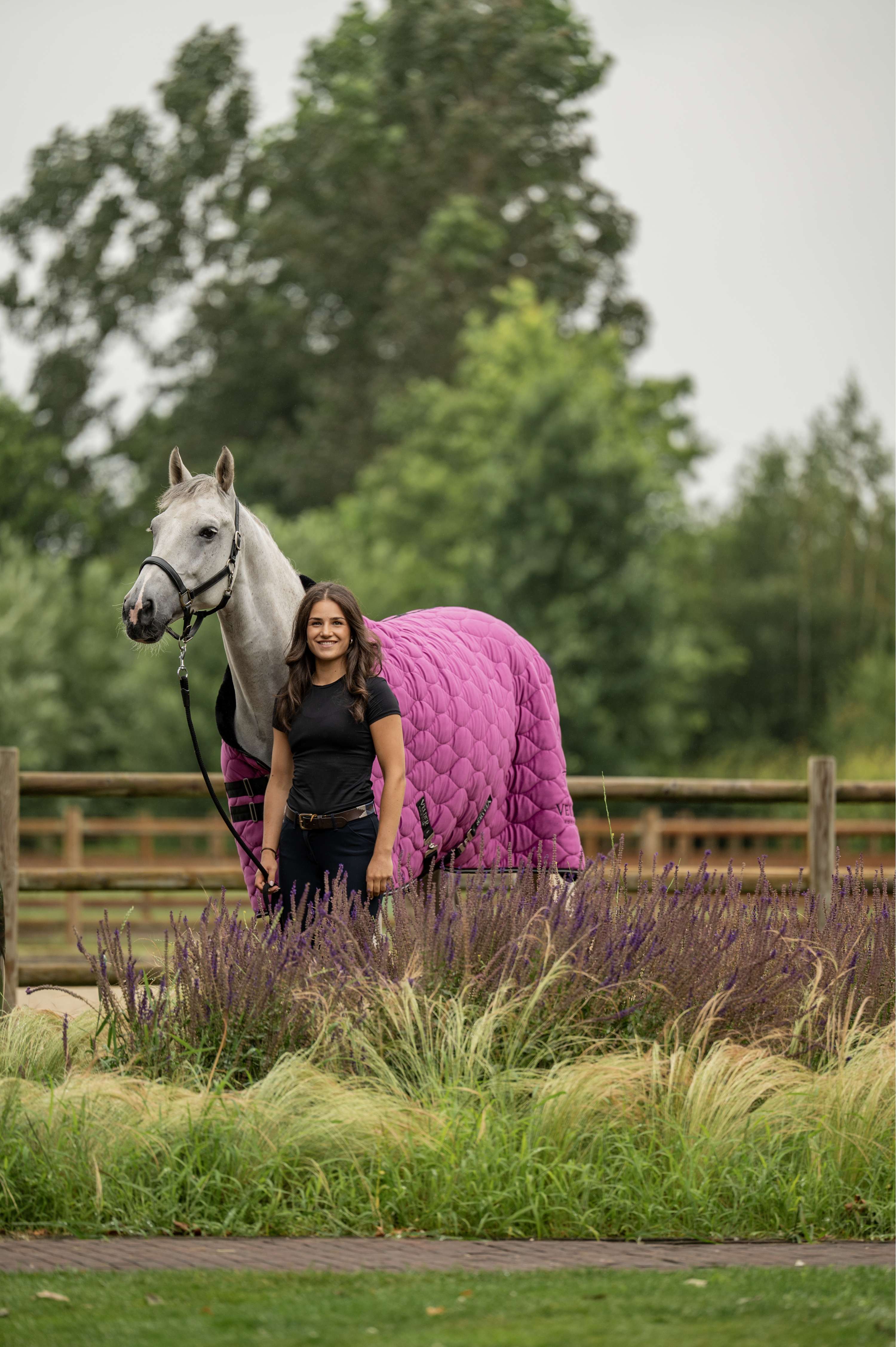 Velder Horsewear Premium Showdecke Satin Glow Dutch Raspberry