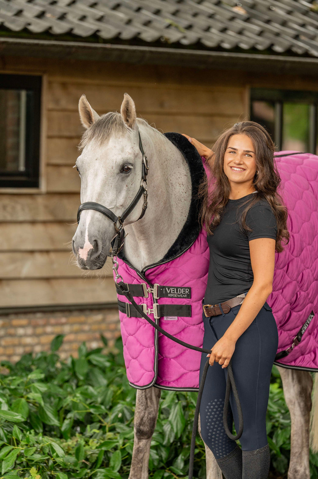 Velder Horsewear Premium Showdecke Satin Glow Dutch Raspberry