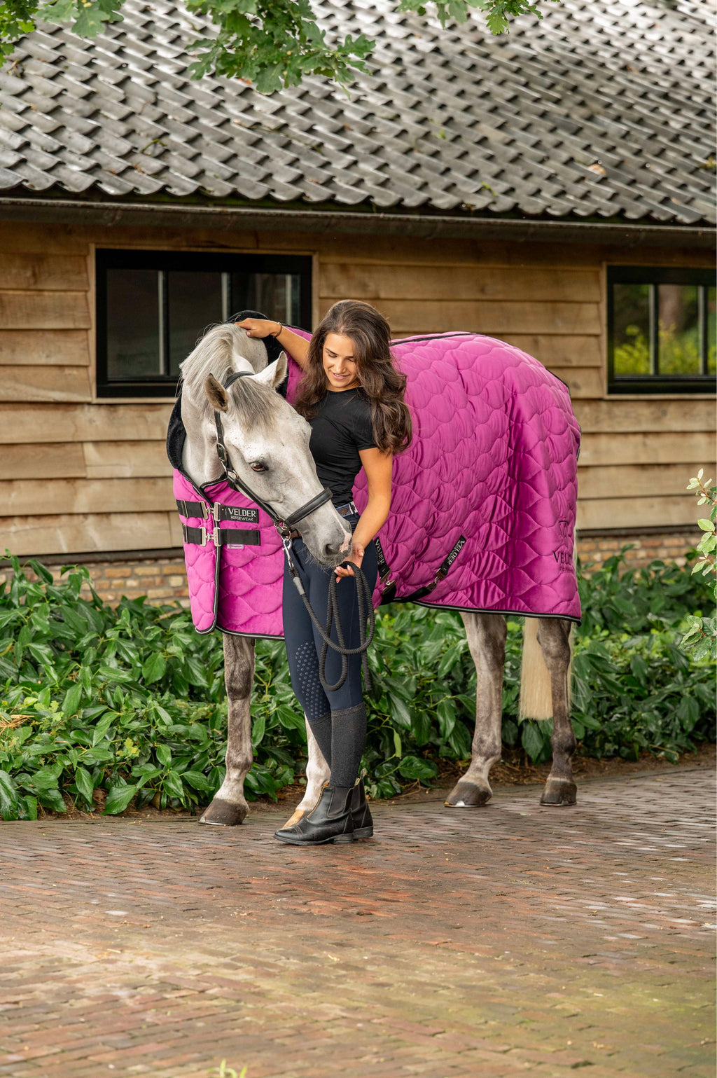 Velder Horsewear Premium Showdecke Satin Glow Dutch Raspberry