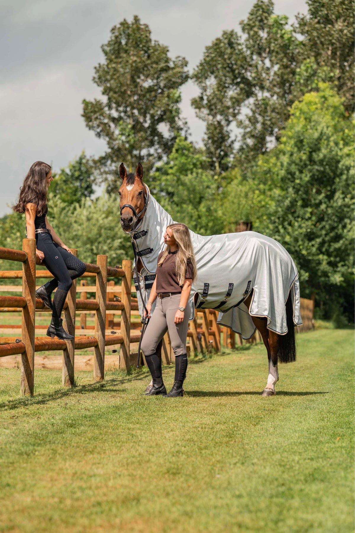 Velder Horsewear Premium Fliegendecke Pearl Grey