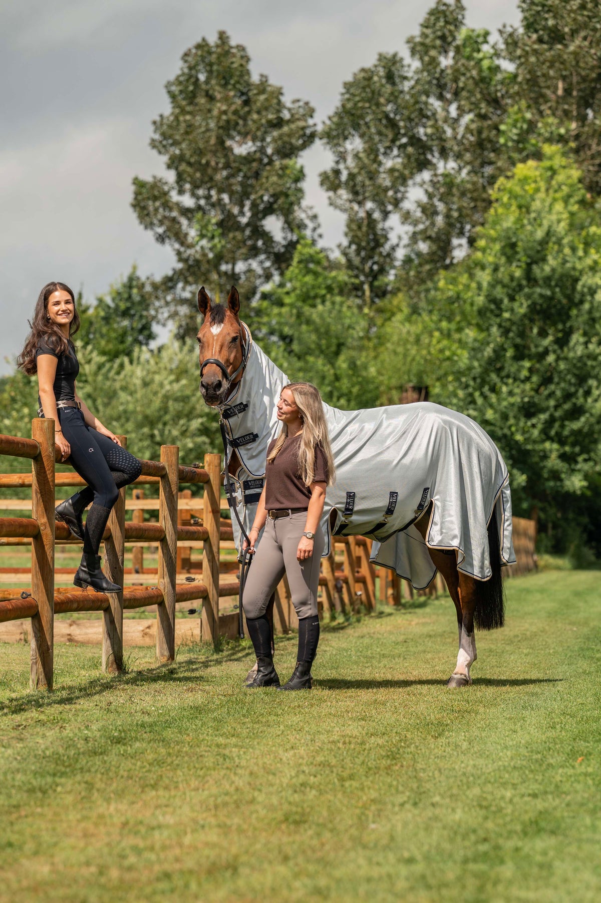 Velder Horsewear Premium Fliegendecke Pearl Grey