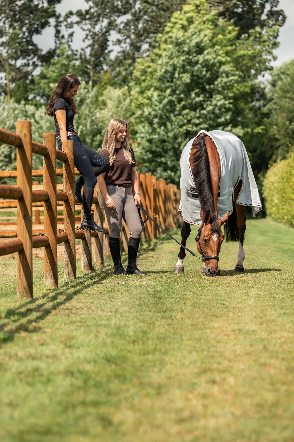 Velder Horsewear Premium Fliegendecke Pearl Grey