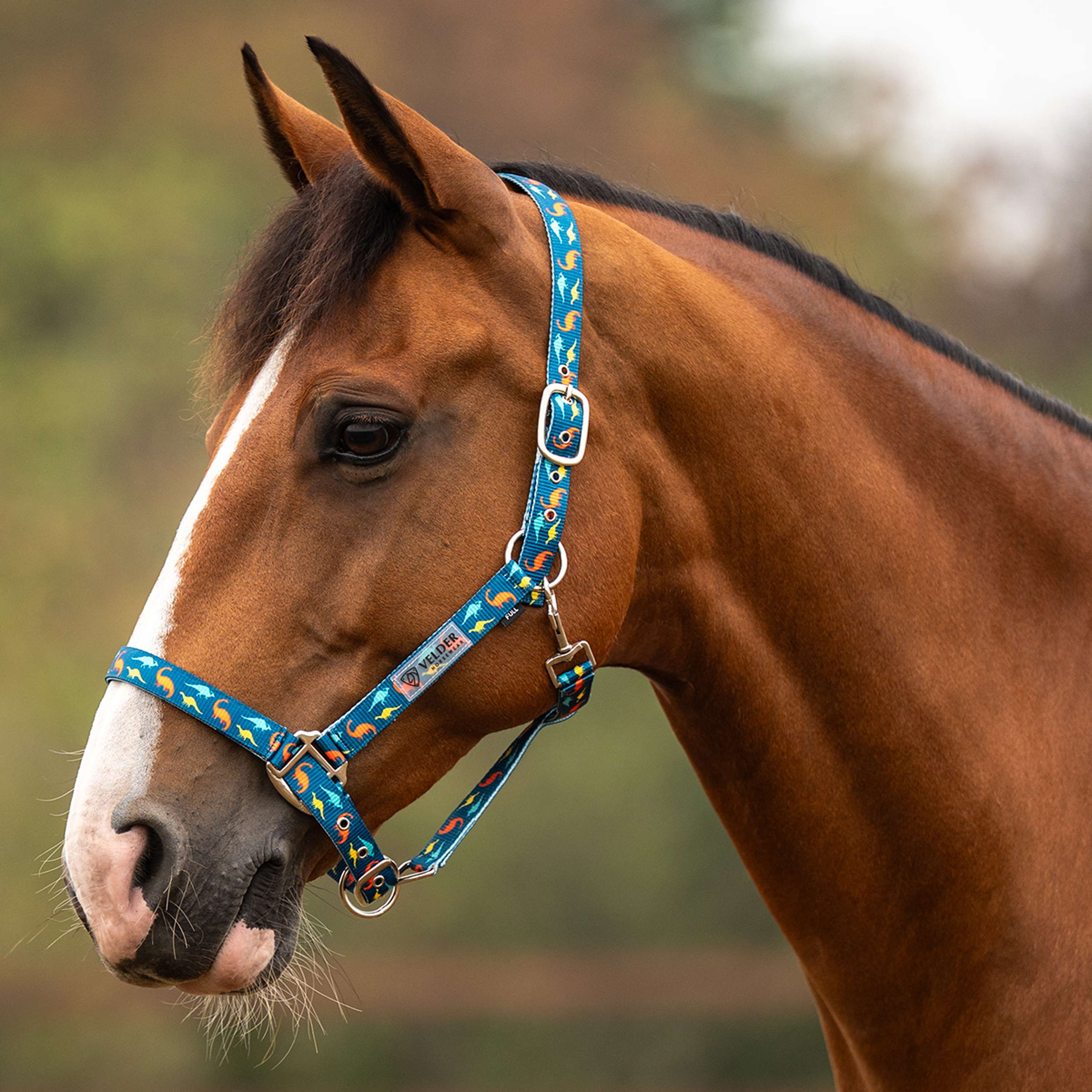 Velder Horsewear Essentials Halfter Dino Blau/Orange