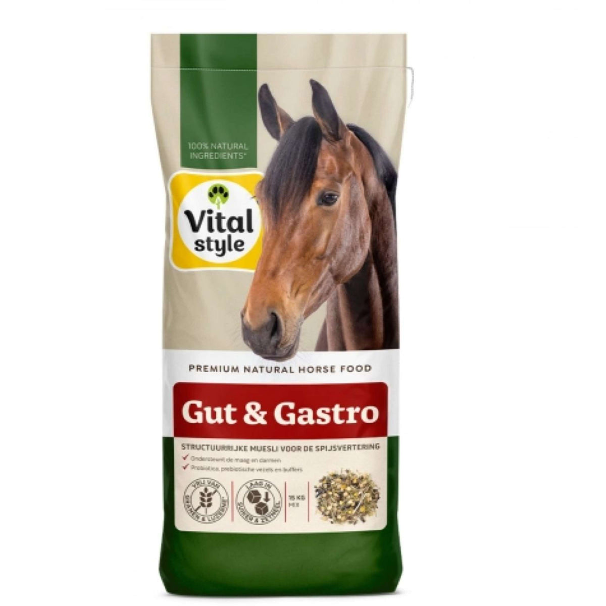 VITALstyle Müsli Gut & Gastro