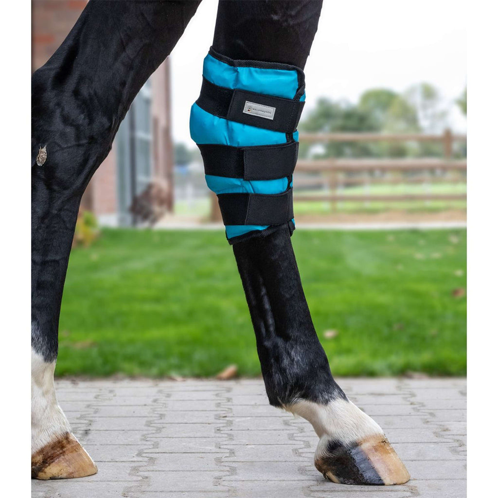 Waldhausen Health + Care Ice Boot Gel Sprunggelenk Petrol