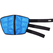 Waldhausen Health + Care Ice Boot Gel Sprunggelenk Petrol