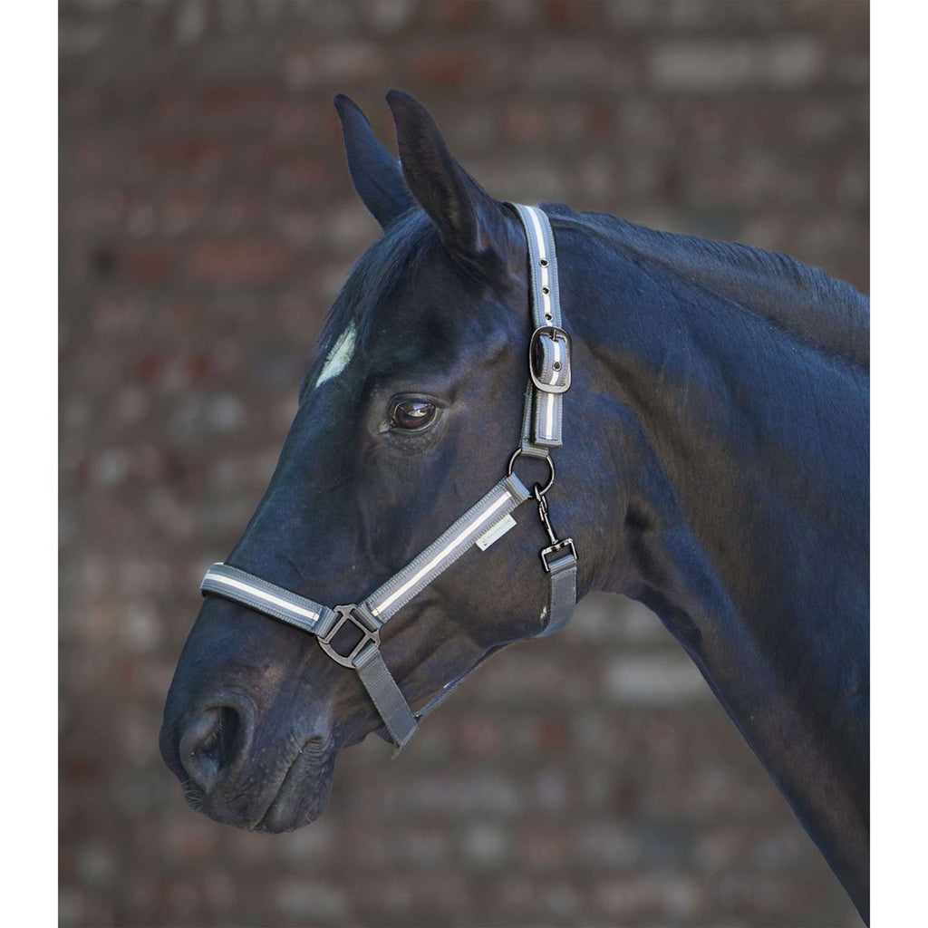 Waldhausen Halfter Reflex Stripe Grau