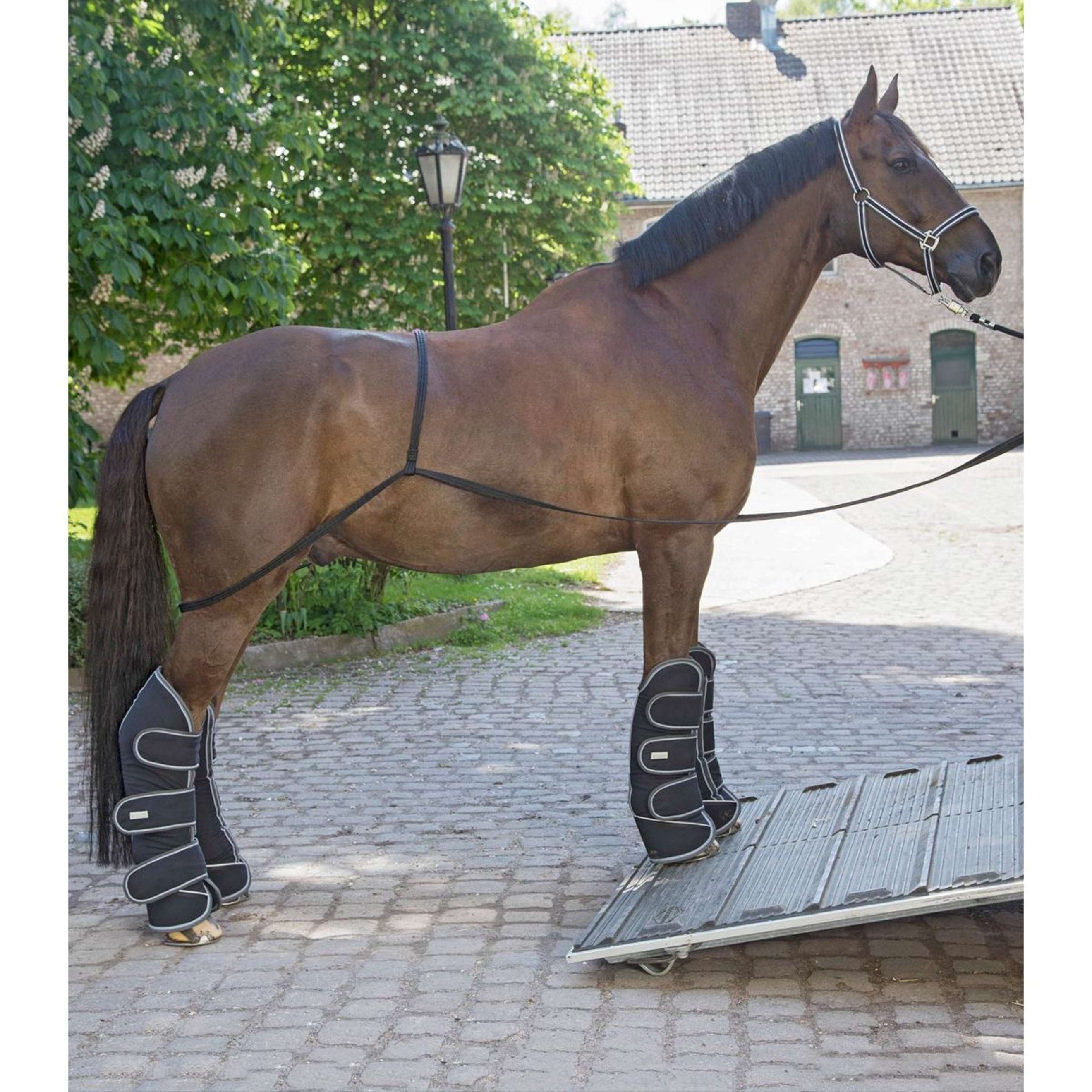 Waldhausen Hängerleine für Verladen Waldhausen Hängerleine für Verladen